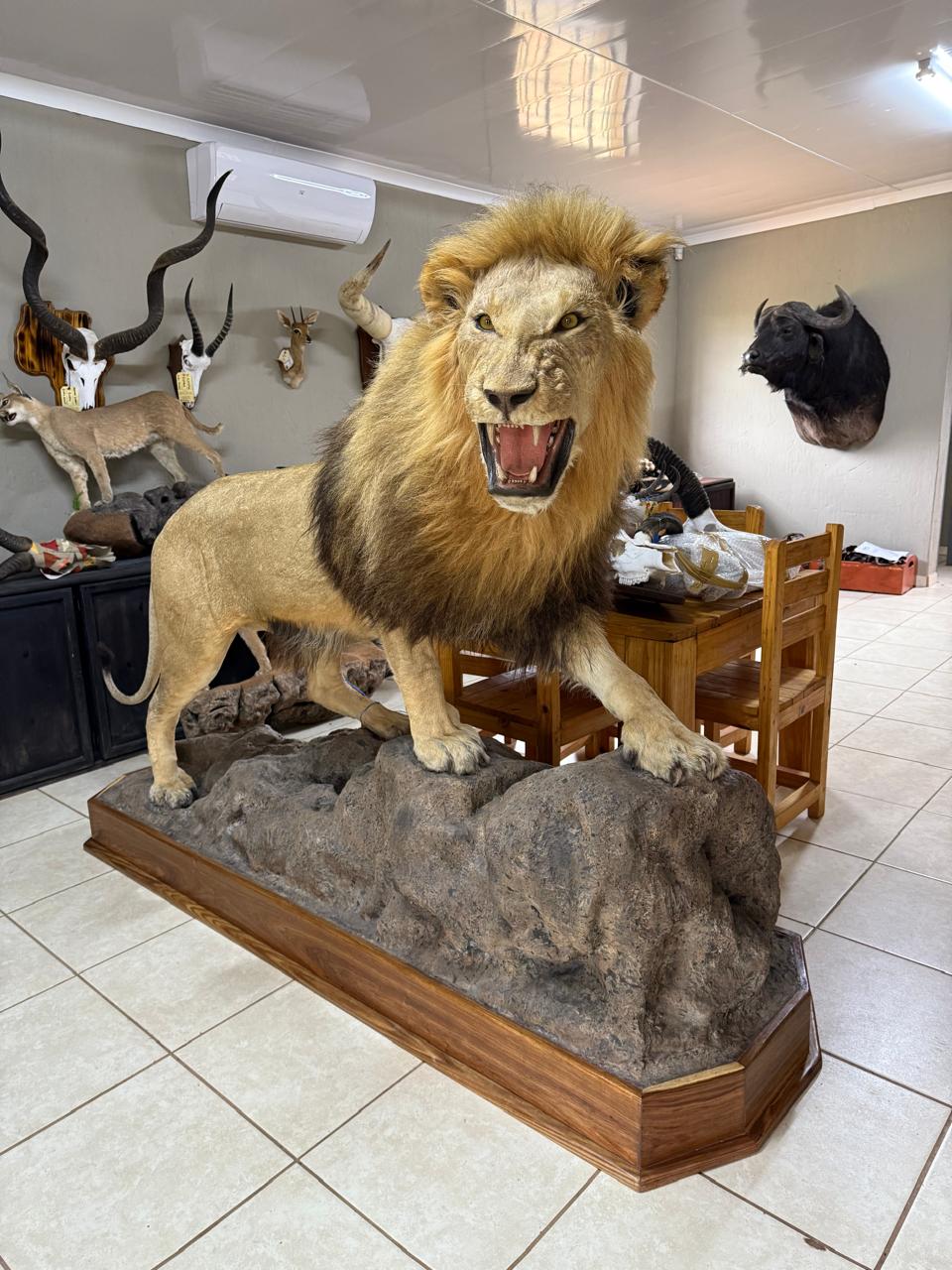 Full body mounts example