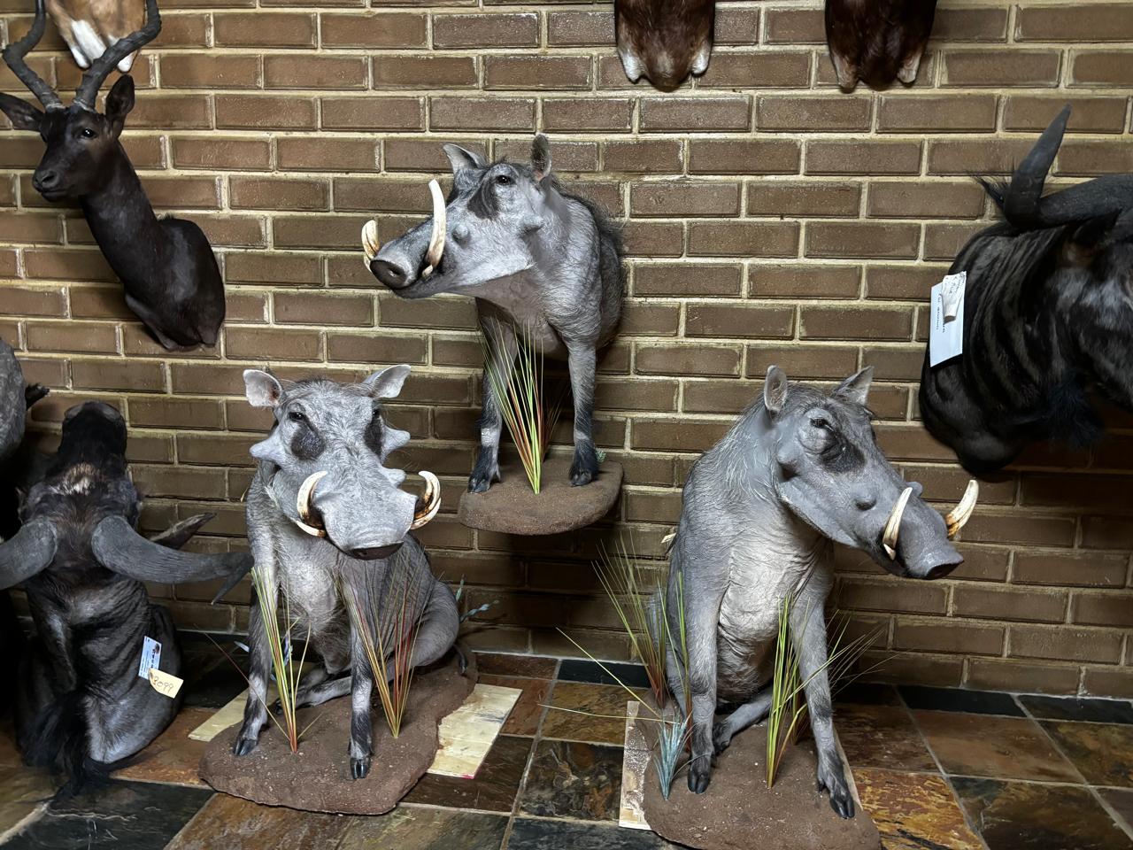 Full body mounts example