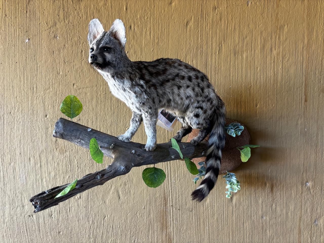 Full body mounts example