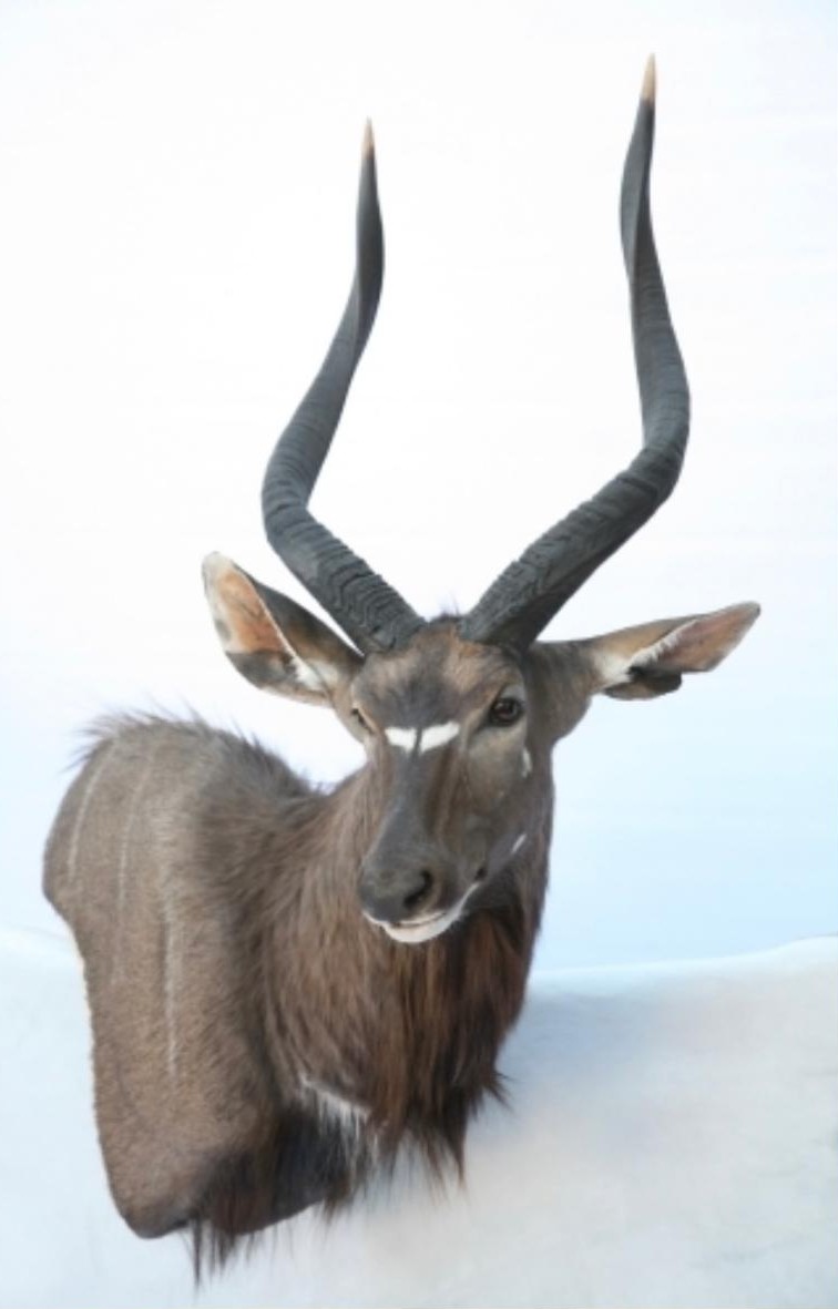 Wall pedestal mounts example