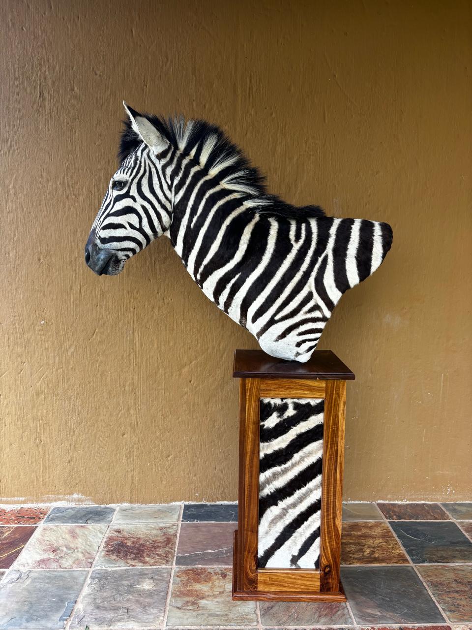 Pedestal mounts example