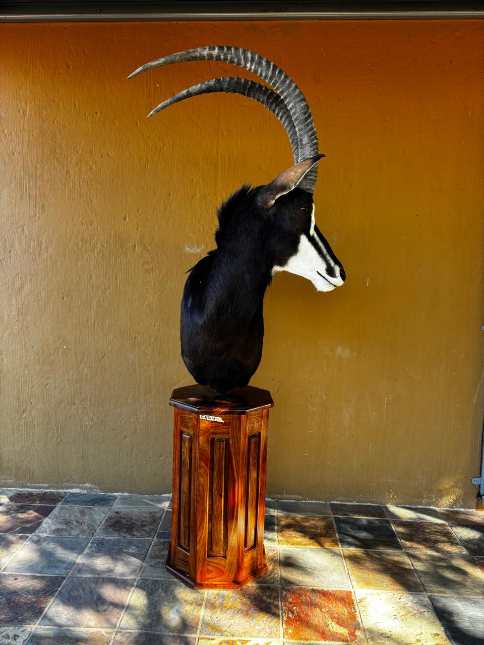 Pedestal mounts example