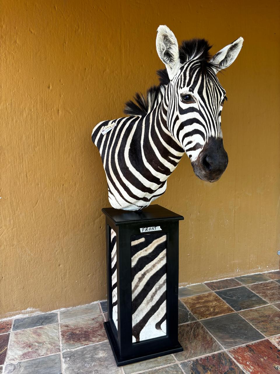 Pedestal mounts example