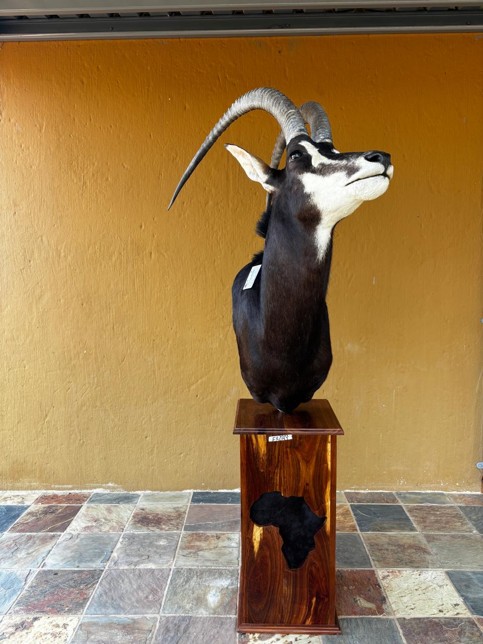 Pedestal mounts example