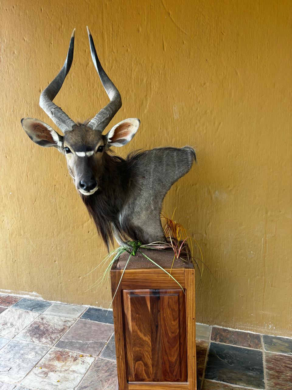 Pedestal mounts example