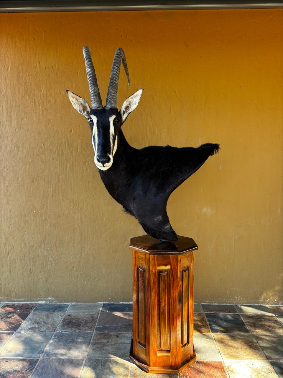 Pedestal mounts example