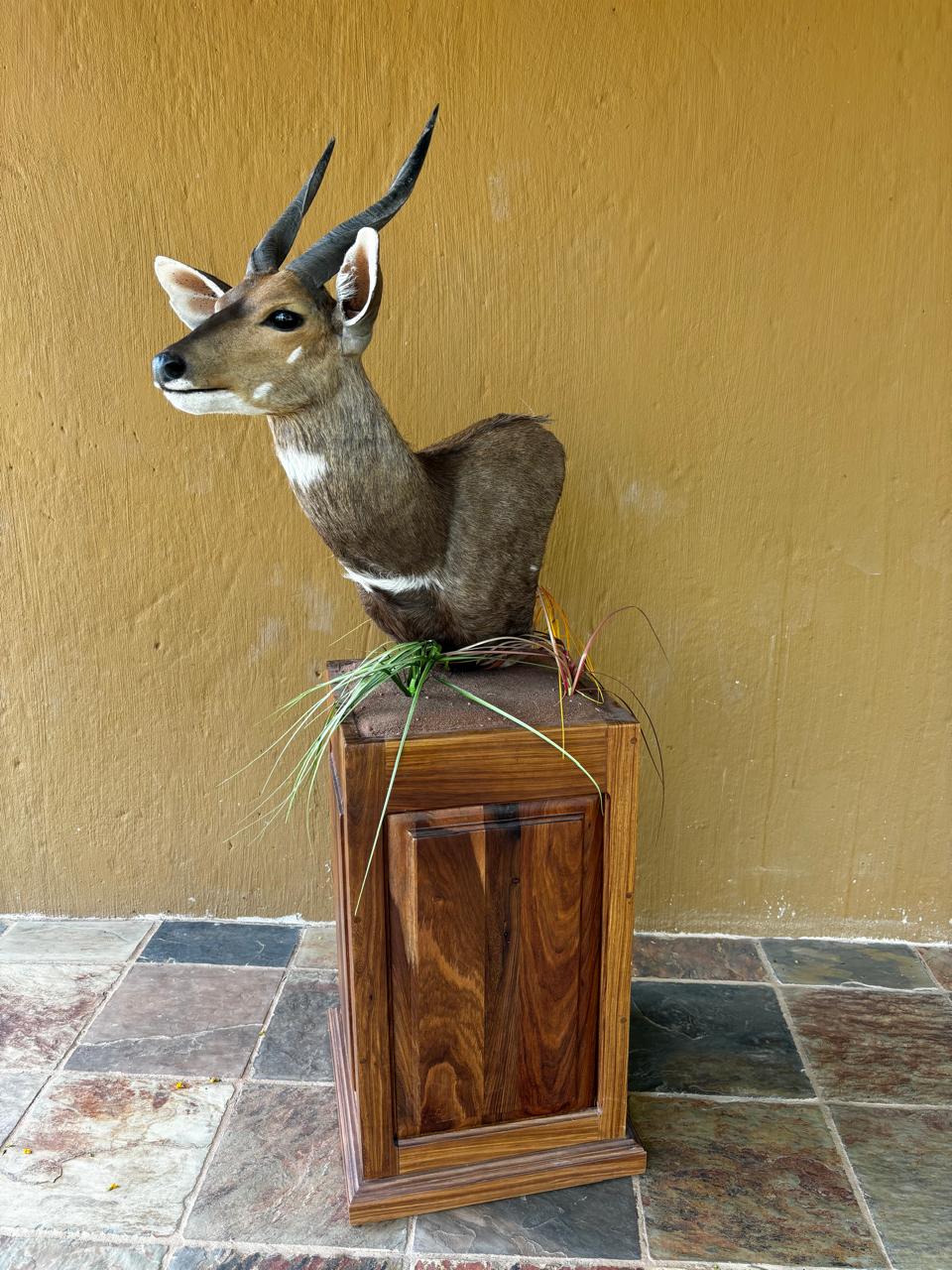 Pedestal mounts example
