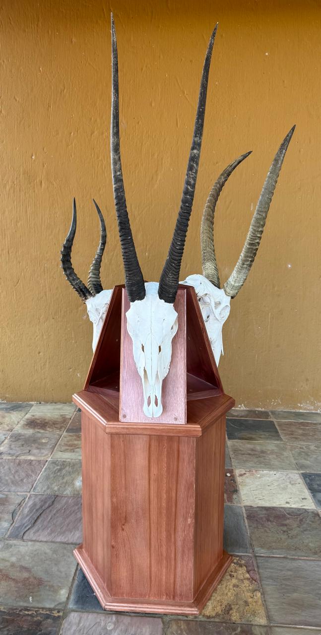 Skull mounts example