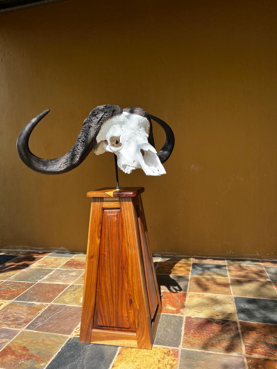 Skull mounts example